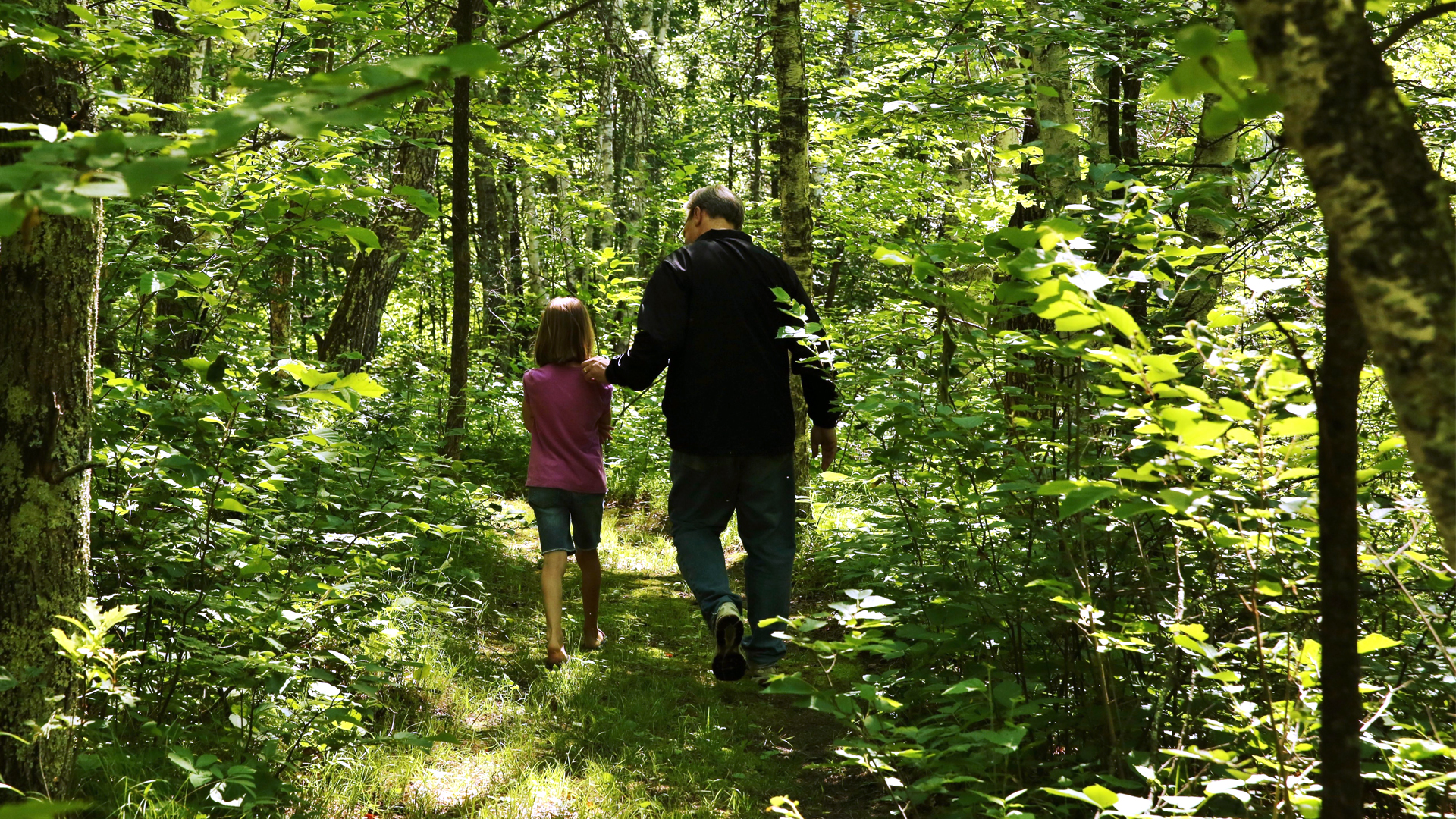 Take a Hike! Explore the Best Hiking Trails Near Crosslake, MN on Your Minnesota Family Resort Vacation