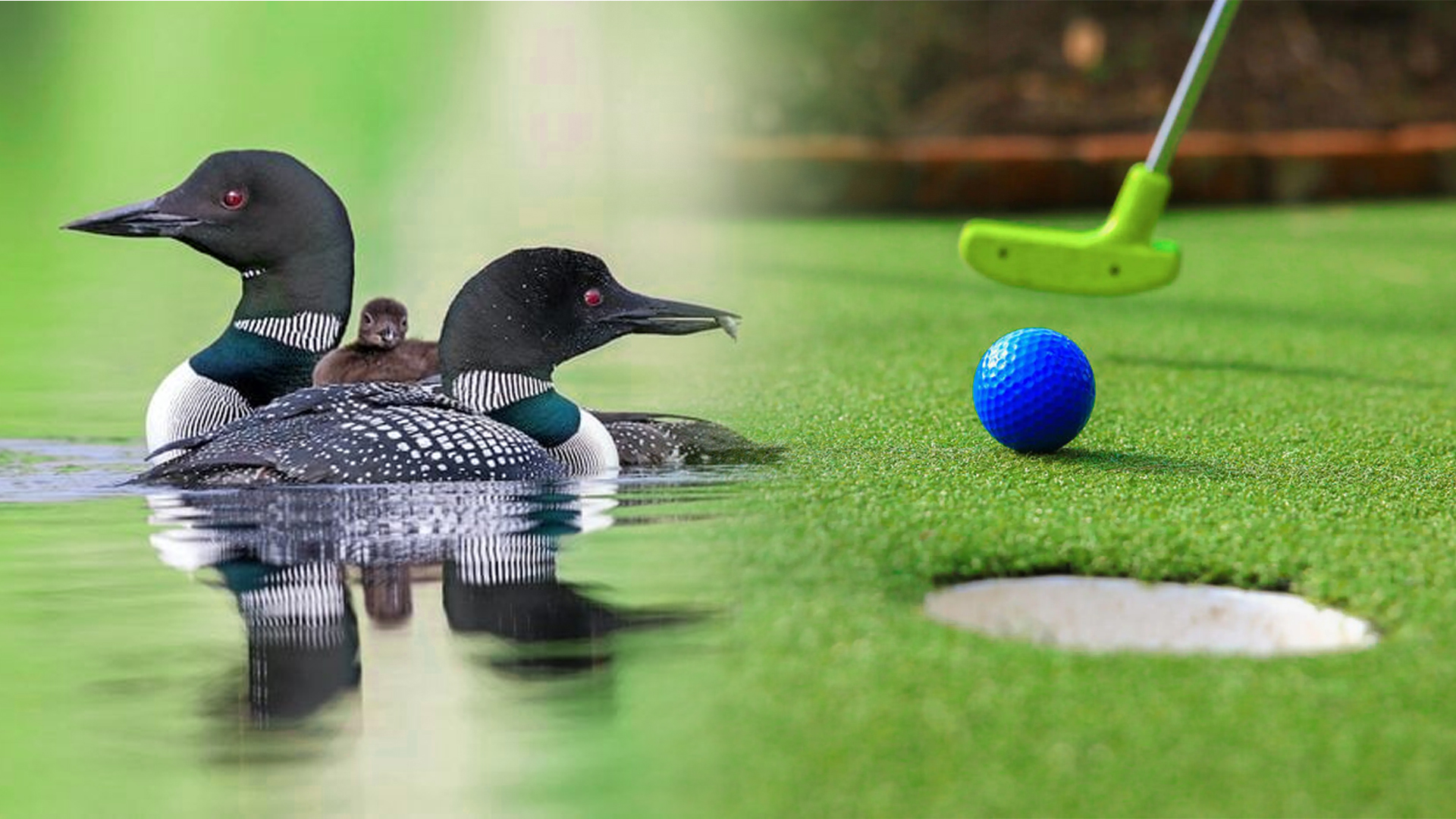 Pine Terrace Mini Golf Course Has a Name! Introducing Loony Links