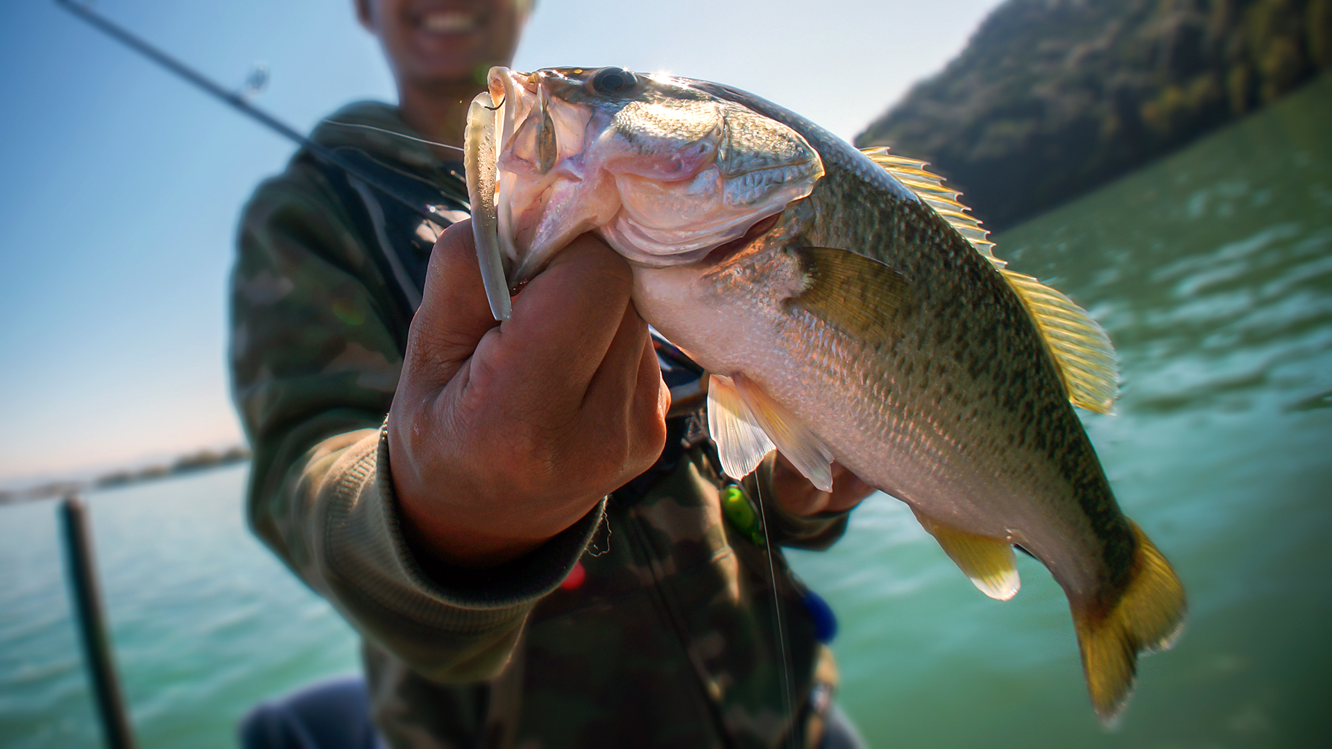 Seasonal Fish Behavior on Star Lake: How Pike, Bass & Panfish Move Throughout Seasons