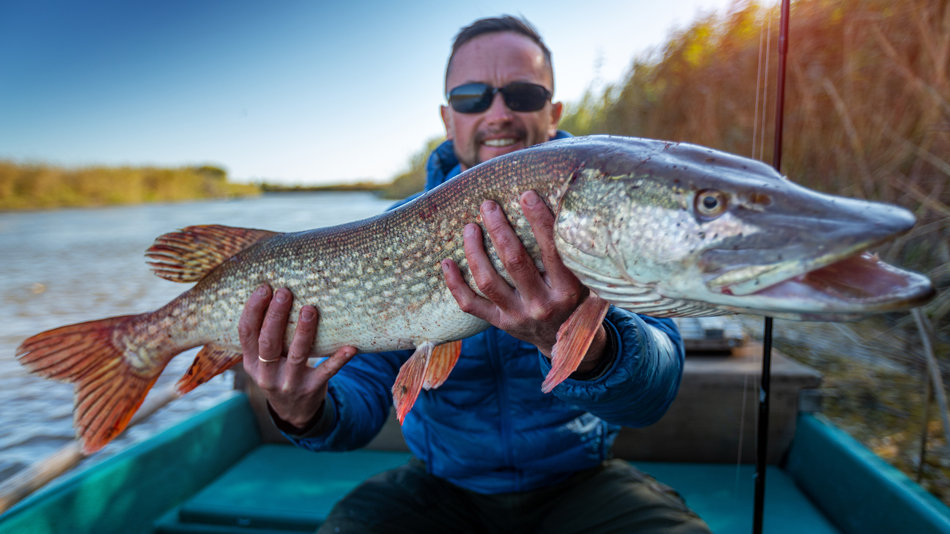 Trophy Pike Fishing in Minnesota: Inside Pine Terrace Resort’s 40”+ Fishery