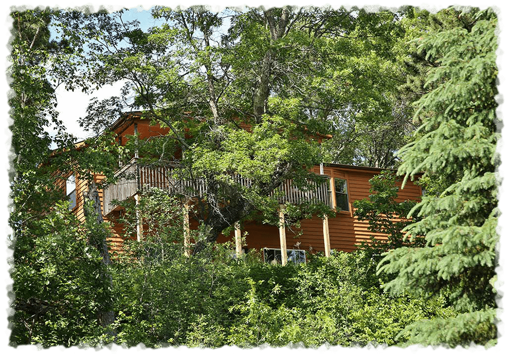 7 Bedroom Cabin