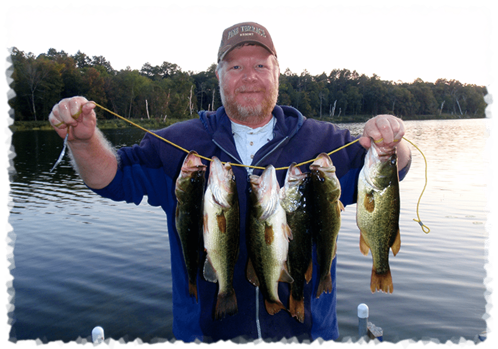 Largemouth Bass