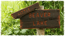 Little Beaver