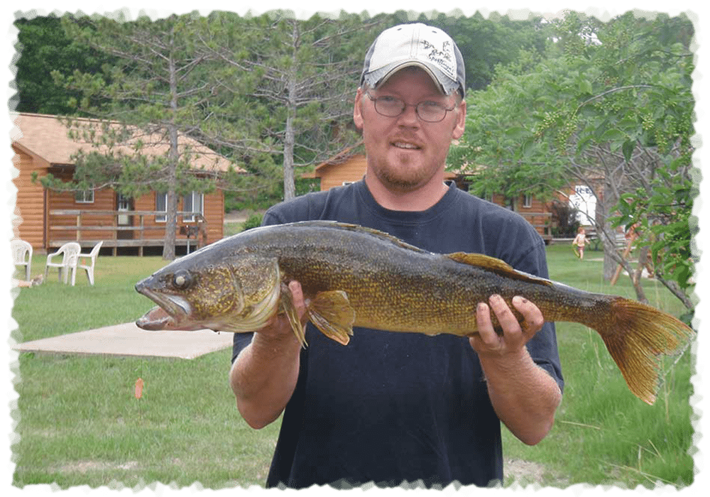 Walleye